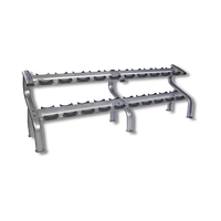 Load image into Gallery viewer, Troy Barbell (DR-10) Commercial 2-Tier Dumbbell Rack
