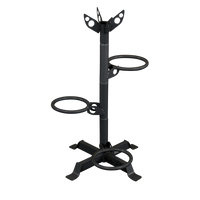 Load image into Gallery viewer, Body Solid GMR5B Medicine Ball Rack
