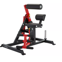 Load image into Gallery viewer, Steelflex PL2400 Ab Crunch/Back Extension
