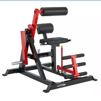 Load image into Gallery viewer, Steelflex PL2400 Ab Crunch/Back Extension
