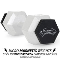 Load image into Gallery viewer, 2.5lb. Hex PlateMate (Pair) PM25HEX
