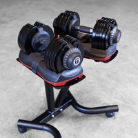 Load image into Gallery viewer, Adjustable Dumbbell Stand with Locking Caster Wheels
