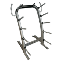 Load image into Gallery viewer, Body-Solid Cardio Barbell and Weight Plate Rack (GCR100)
