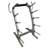 Load image into Gallery viewer, Body-Solid Cardio Barbell and Weight Plate Rack (GCR100)
