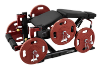 Load image into Gallery viewer, Steelflex PLLC Leverage Leg Curl Machine

