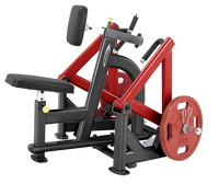 Load image into Gallery viewer, Steelflex PLSR Leverage Seated Row Machine (PLSR)
