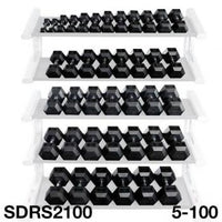 Load image into Gallery viewer, Body Solid 5-100 lb. Rubber Hex Dumbbell Set 
