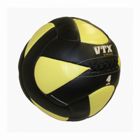 Load image into Gallery viewer, VTX Leather Wall Balls - Complete Set (PWB-SET)
