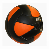 Load image into Gallery viewer, VTX Leather Wall Balls - Complete Set (PWB-SET)
