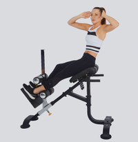 Load image into Gallery viewer, Powertec Dual Hyperextension Crunch P-HC
