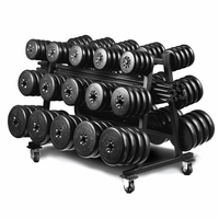 Load image into Gallery viewer, York Barbell Aerobic Weight Set Club Pack Includes Rack

