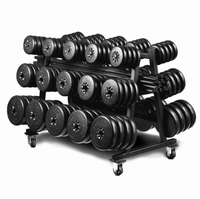 Load image into Gallery viewer, York Barbell Aerobic Weight Set Club Pack Includes Rack
