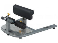 Load image into Gallery viewer, Steelflex Commercial Sissy Squat Station
