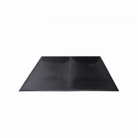 Load image into Gallery viewer, Shok-Lok Power Platform 7x6 - 3/4&quot; Thick Rubber Floor Mat
