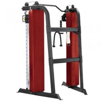 Load image into Gallery viewer, Steelflex Club Line Functional Trainer CLDCC
