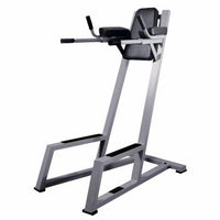Load image into Gallery viewer, York Vertical Knee Raise W/ Dip Station
