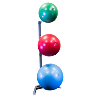 Load image into Gallery viewer, Body Solid GSR10 Stability Ball Storage Rack (GSR10)
