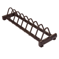 Load image into Gallery viewer, Body Solid GBPR10 Horizontal Bumper Plate Rack 
