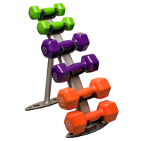 Load image into Gallery viewer, Body-Solid Vinyl Dumbbell Rack GDR10
