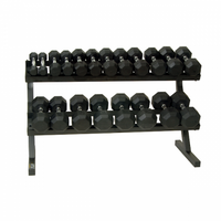 Load image into Gallery viewer, Troy Barbell VTX (T-DR) 2 Tier Dumbbell Rack
