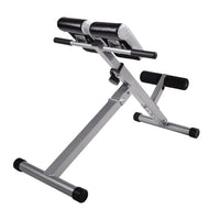 Load image into Gallery viewer, Stamina Hyperextension Bench
