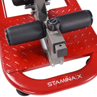Load image into Gallery viewer, Stamina X 4-IN-1 Strength Training System
