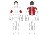 Load image into Gallery viewer, SteelFlex PL2200 Lat Pull Down/Back Row Machine
